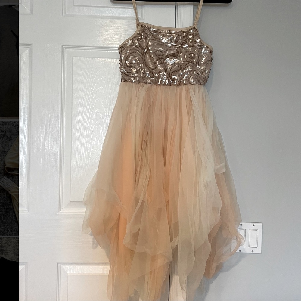 Sequined Dancer’s Dress